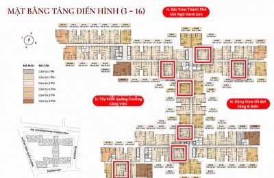 Tổng hợp Giỏ hàng 