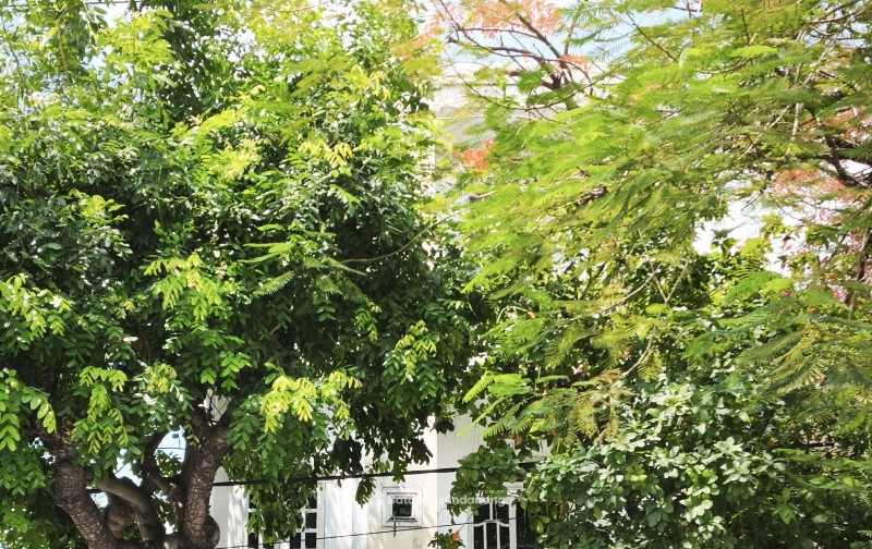 Cho thuê nhà kiệt oto tải NGUYỄN CÔNG HOAN - Cẩm Lệ gần Nguyễn Đình Tứ