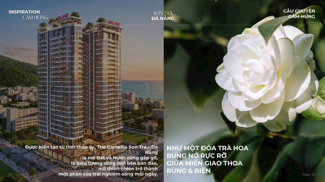 The Camellia Sơn Trà